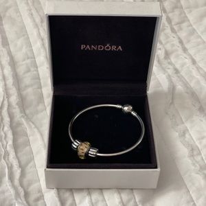 Pandora Moments Bangle & Charms
